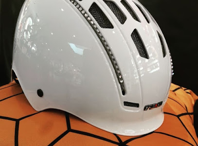 Intérieur magasin de vélos Grenoble Centre